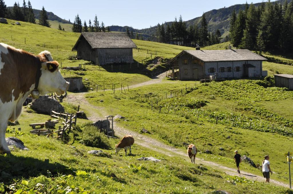 Landhaus Koller Gosau Eksteriør billede