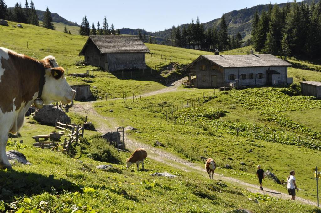 Landhaus Koller Hotel Gosau Eksteriør billede