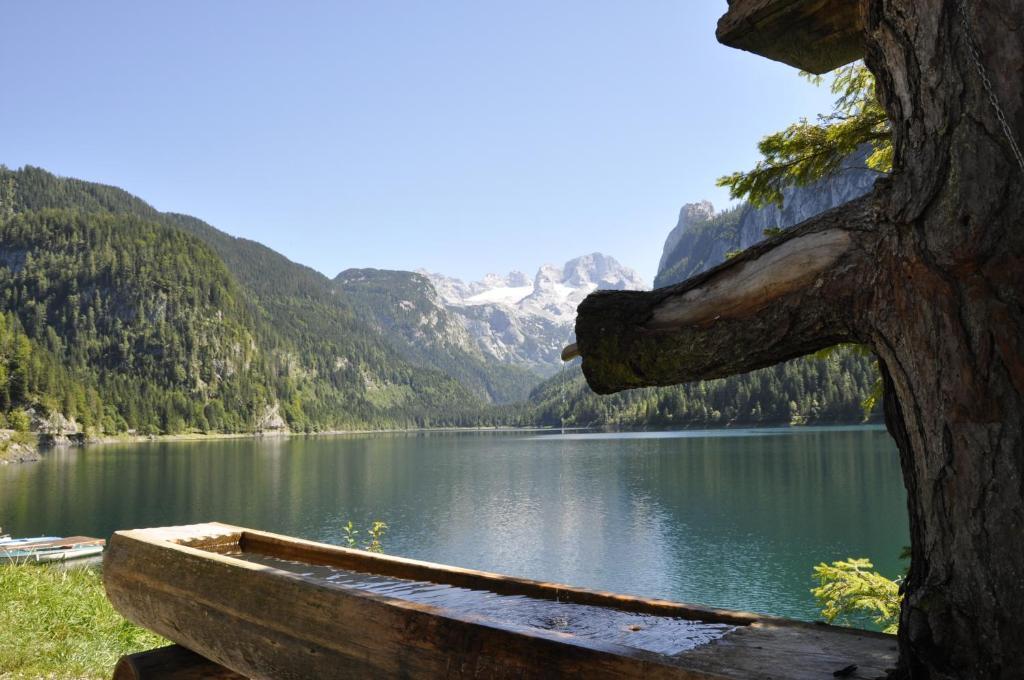 Landhaus Koller Hotel Gosau Eksteriør billede